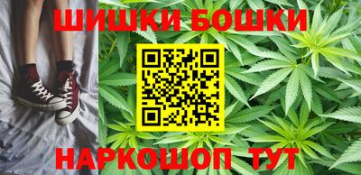 дмт Славгород