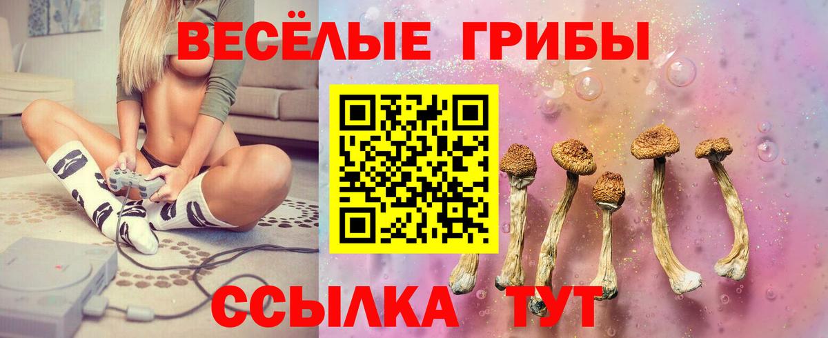 Псилоцибиновые грибы Magic Shrooms Сатка