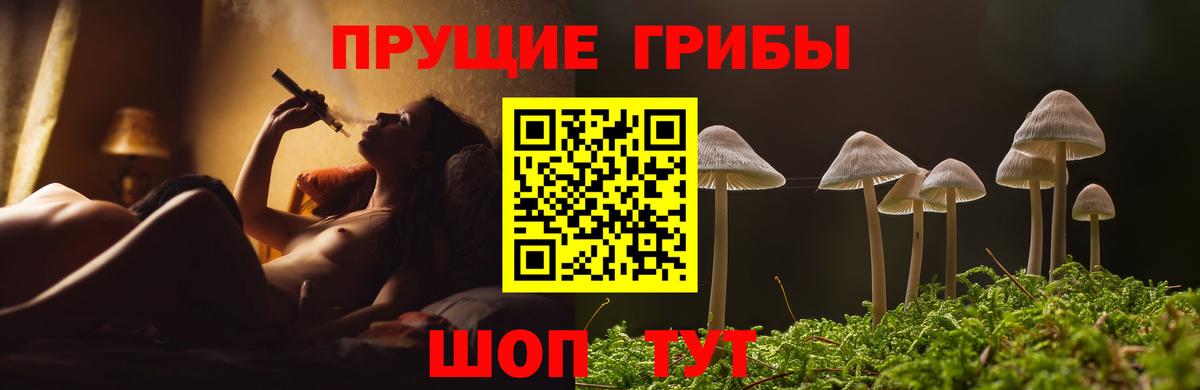 Псилоцибиновые грибы мицелий  Вход с VPN  Сатка  Псилоцибиновые грибы мицелий 
